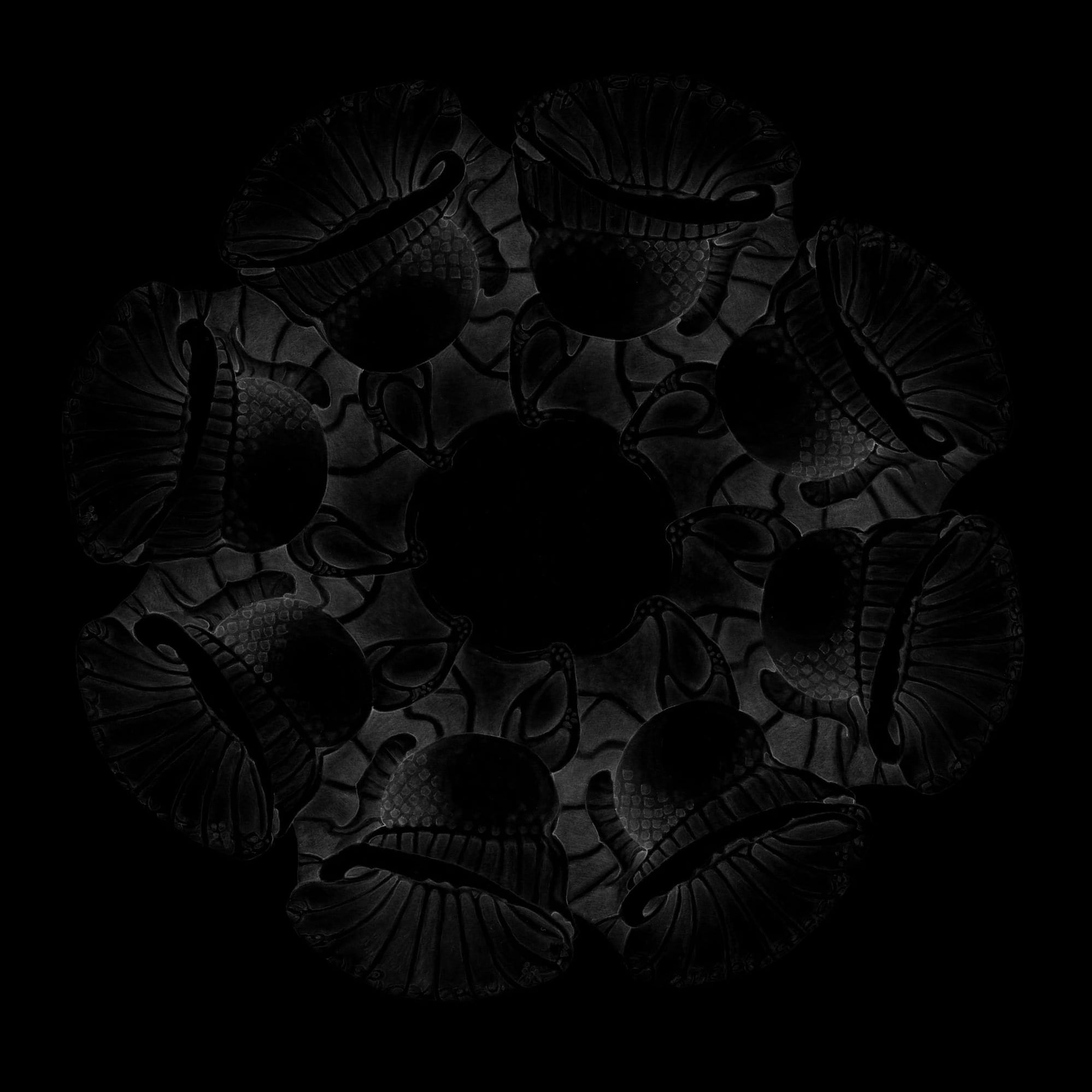 white ring of diatoms in a dark ocean