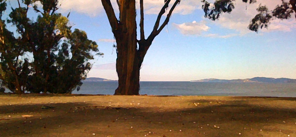 trees with sea in distance
