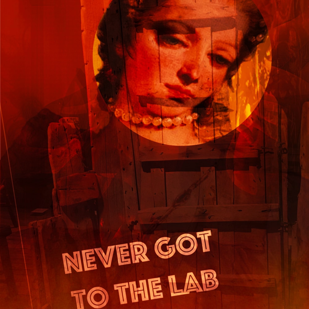 renaissance woman wearing pearls coloured with red tinge with a wooden door superimposed and the words: never got to the lab