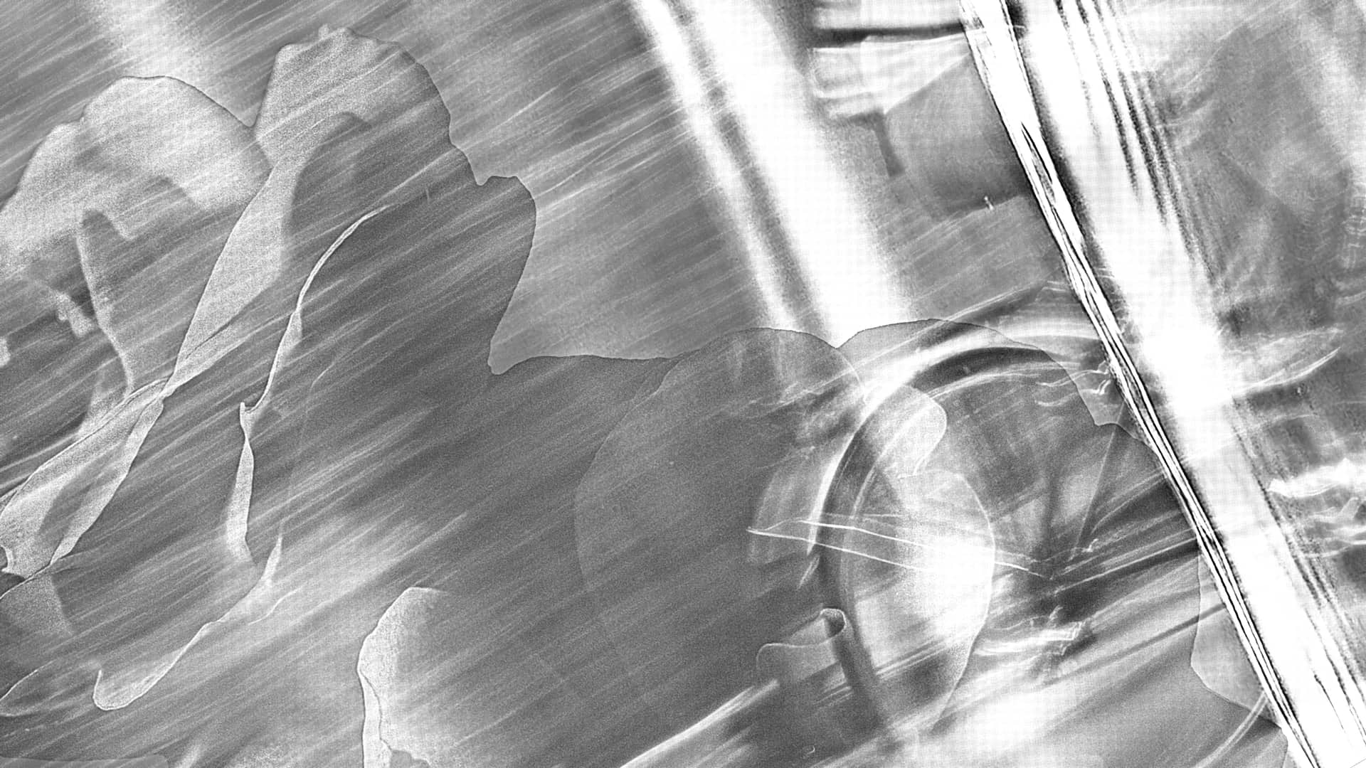 black and white tilted closeup of bicycle in motion