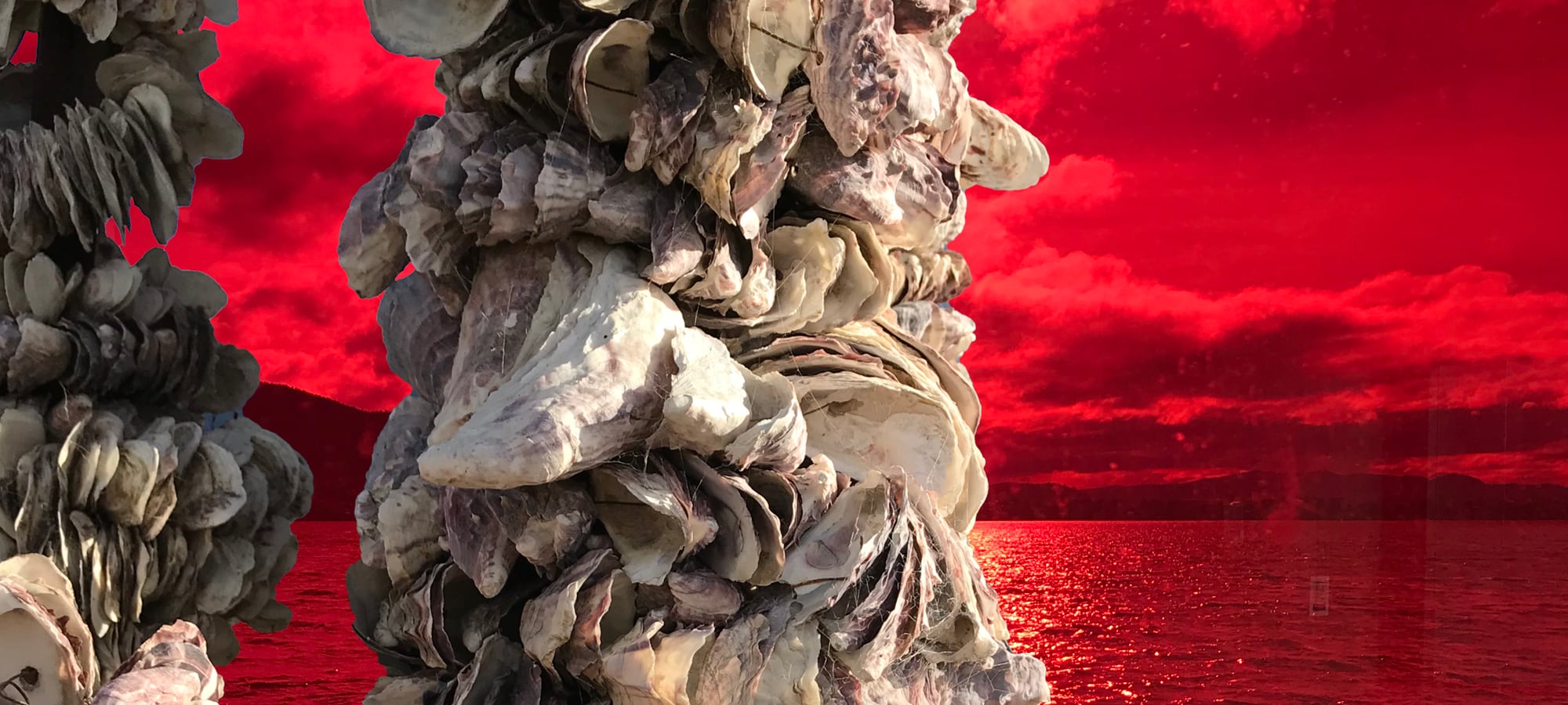 shell pillars against a red water, mountains, sky