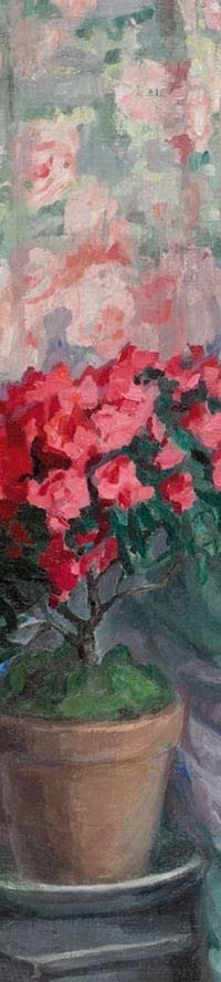 red roses in pot