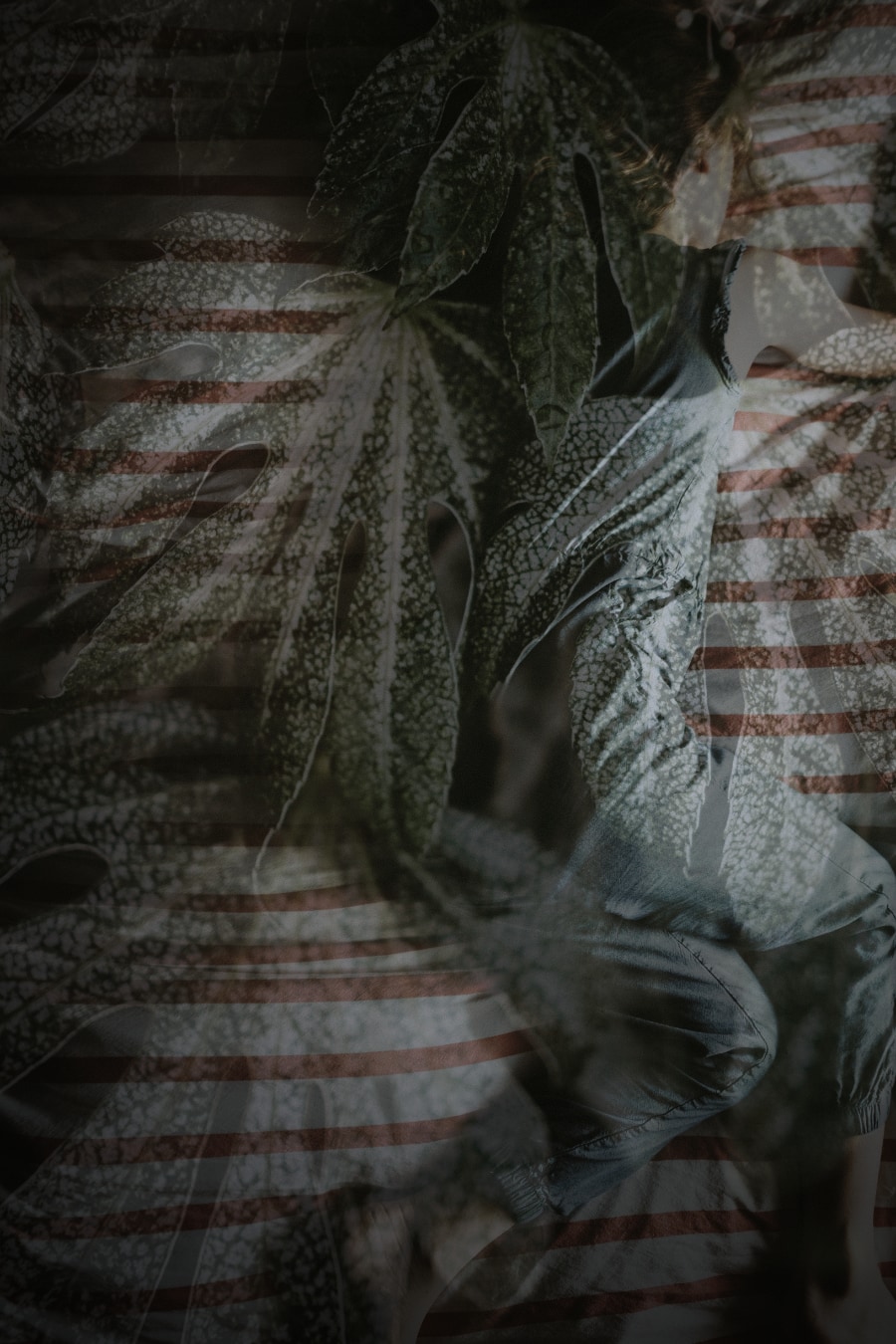 woman asleep under leaves