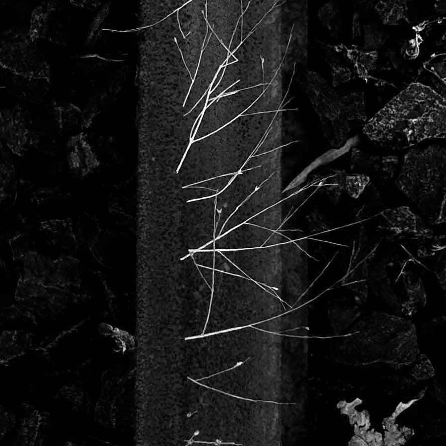 railway line at night with weeds