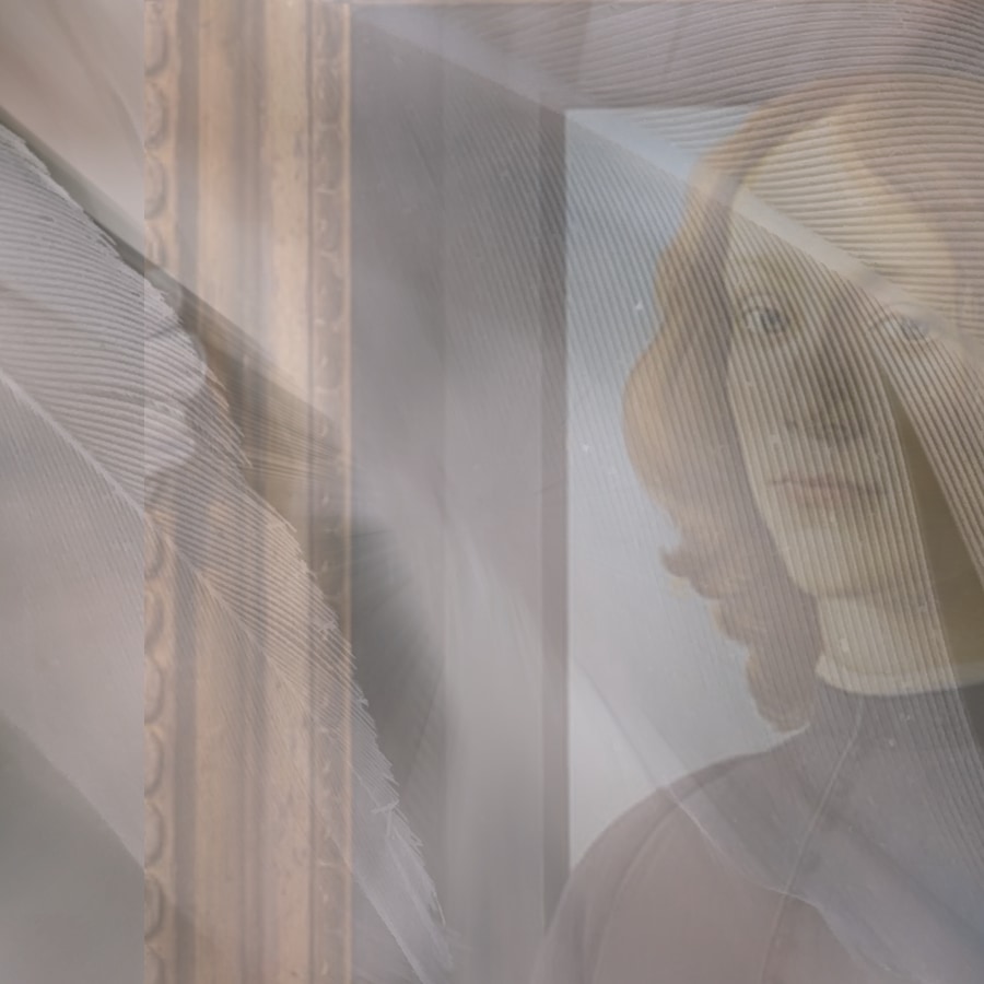 Renaissance figure seen through veils and feathers