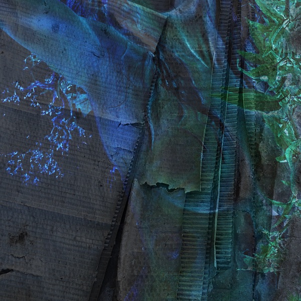 collage of human body, cardboard and vegetation