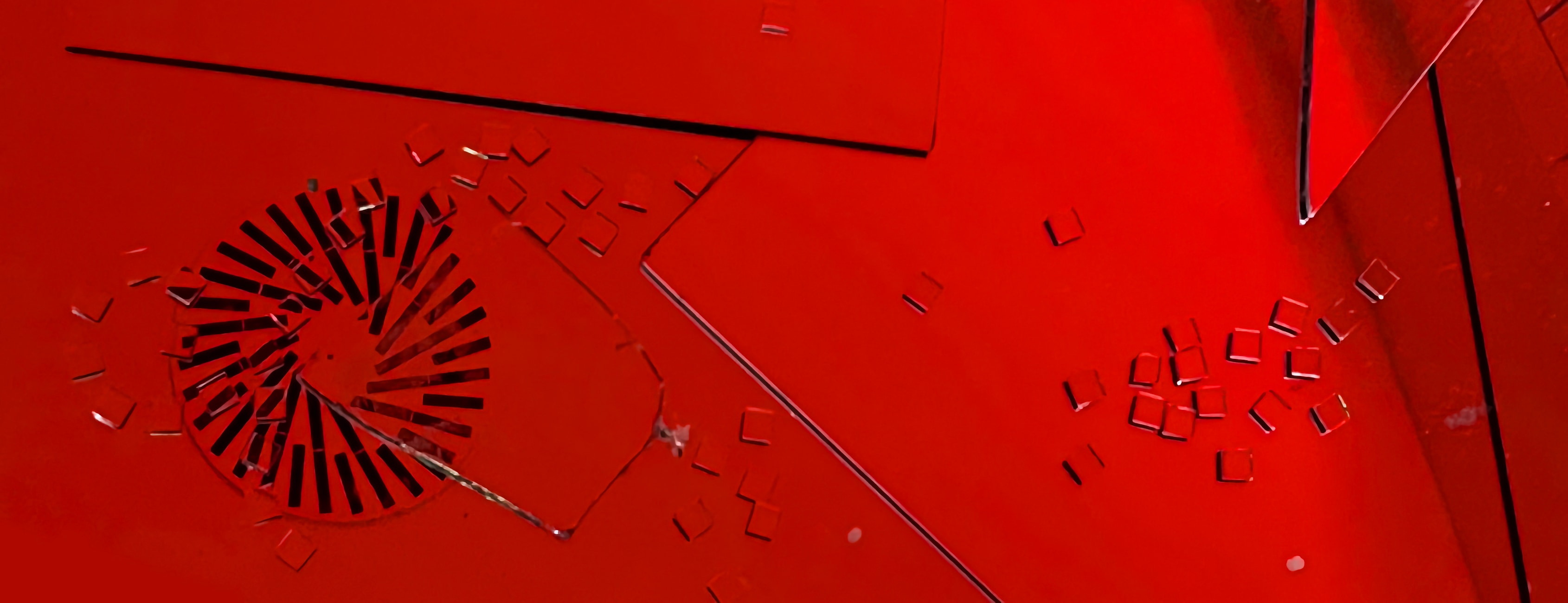 highly edited photograph of a part of an installation by a student at The Hedberg, Hobart, late 2025 – please tell me who you are if you see this