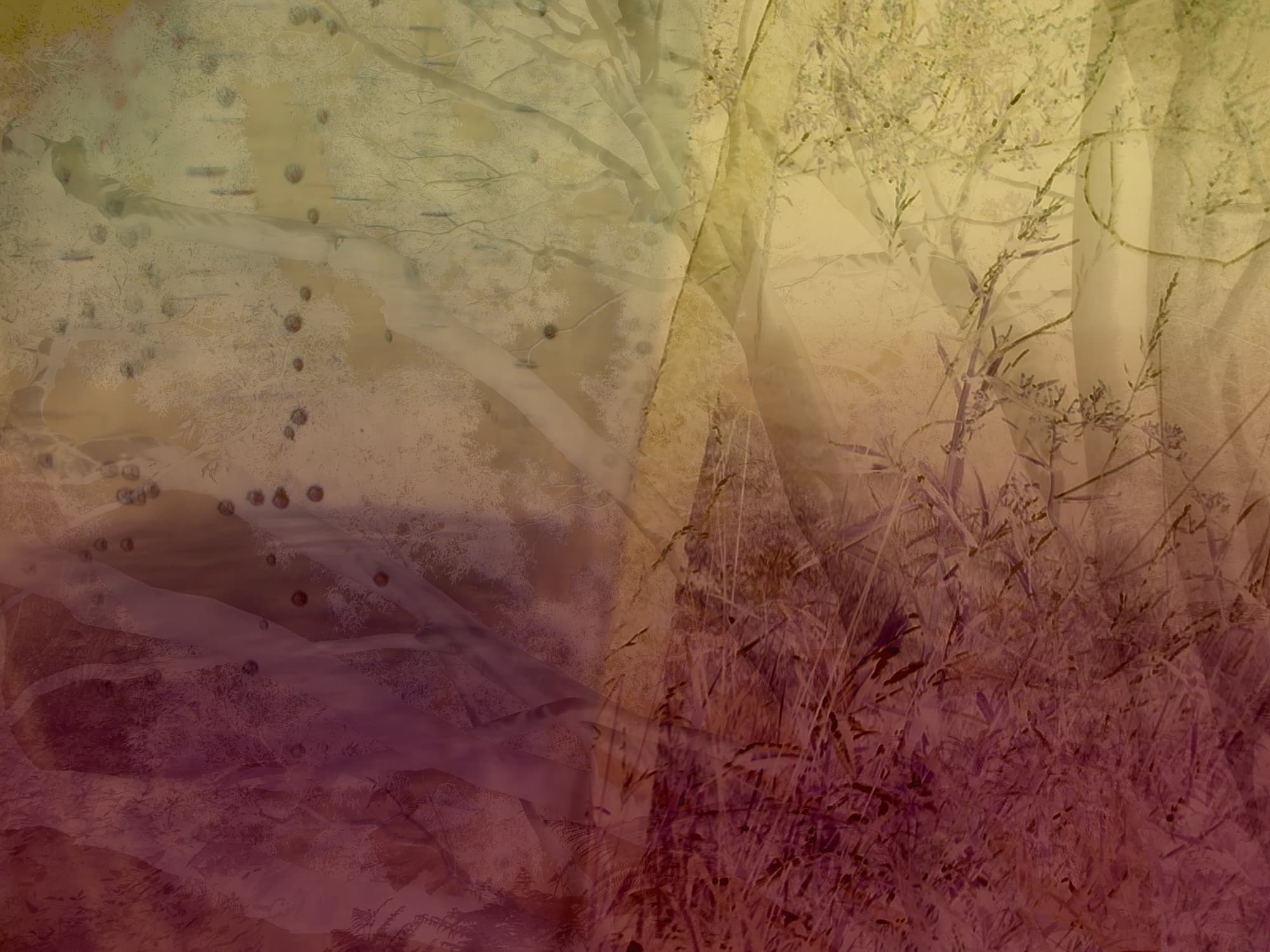 abstract landscape of trees and grass